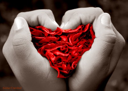 Quem Inventou O Amor
